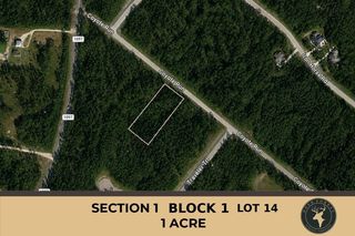 30 Coyote Run, Willis, TX 77378