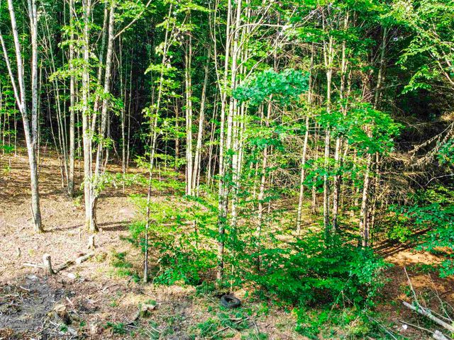 2439 Rood Pond Road, Williamstown, VT 05679