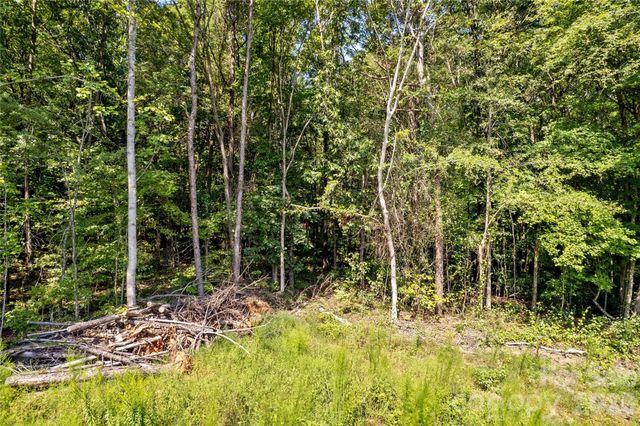 0 Roy Cline Road, Rockwell, NC 28138