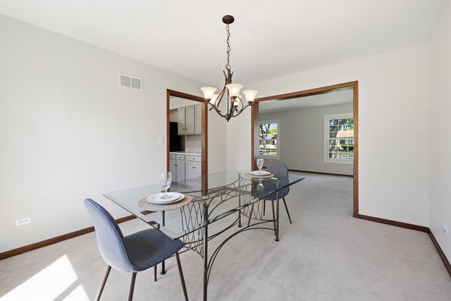 254 Woodville Lane, Schaumburg, IL 60193