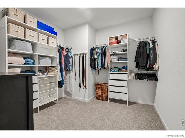 1815 Dancing Cattail Drive, Fort Collins, CO 80528