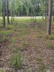18517 Goff Farm Road, Moss Point, MS 39552