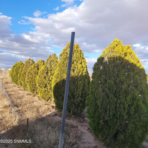 10639 SW 8th Street, Deming, NM 88030