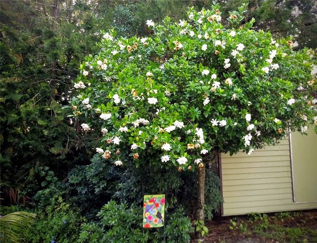 8266 102nd Avenue, Vero Beach, FL 32967