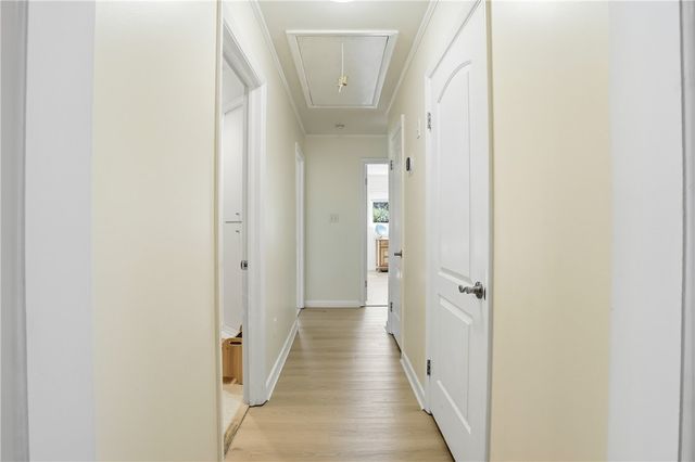 3251 Dogwood Ave, Brunswick, GA 31520