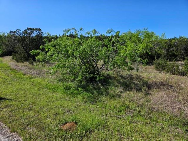 43136 Lantana Dr, Whitney, TX 76692