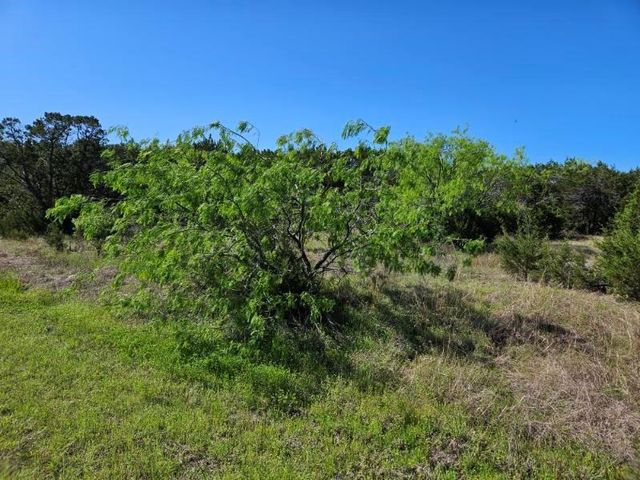 43136 Lantana Dr, Whitney, TX 76692