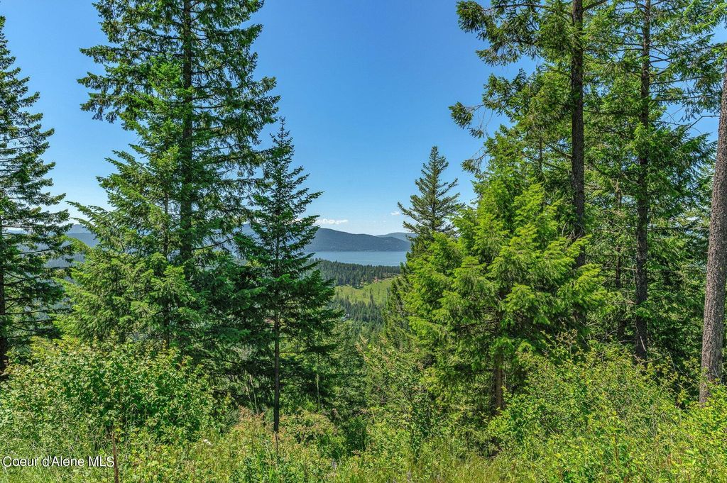 NNA T1-A Green Monarch, Sandpoint, ID 83864