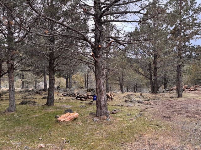 13076 Cedar Trail, Klamath Falls, OR 97603