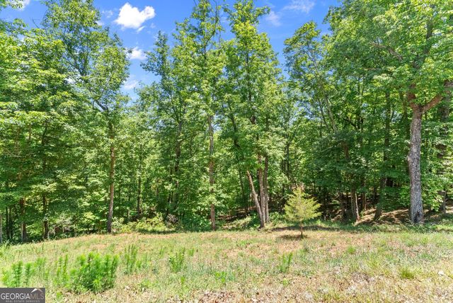 771 Calhoun Road, Dahlonega, GA 30533