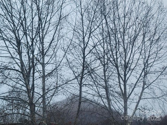 141 Pike Point, Waynesville, NC 28785