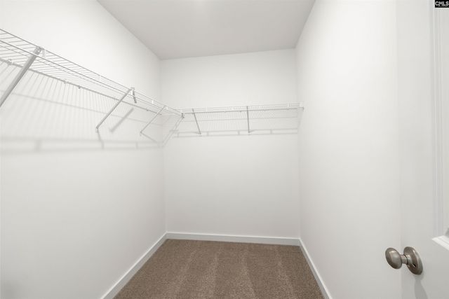 10 Fawn Spot Court, Elgin, SC 29045