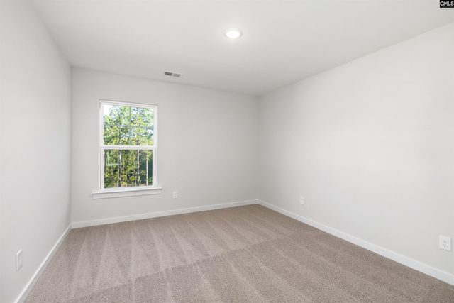10 Fawn Spot Court, Elgin, SC 29045