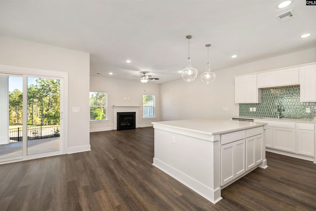 10 Fawn Spot Court, Elgin, SC 29045
