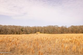 Tbd Old Hwy 80, Vicksburg, MS 39180
