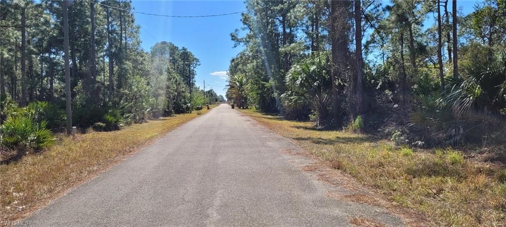 2020 Monroe AVE, ALVA, FL 33920 — photo 2