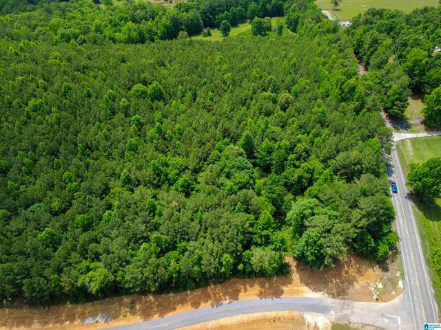 100 CRESCENT COURT, Odenville, AL 35120