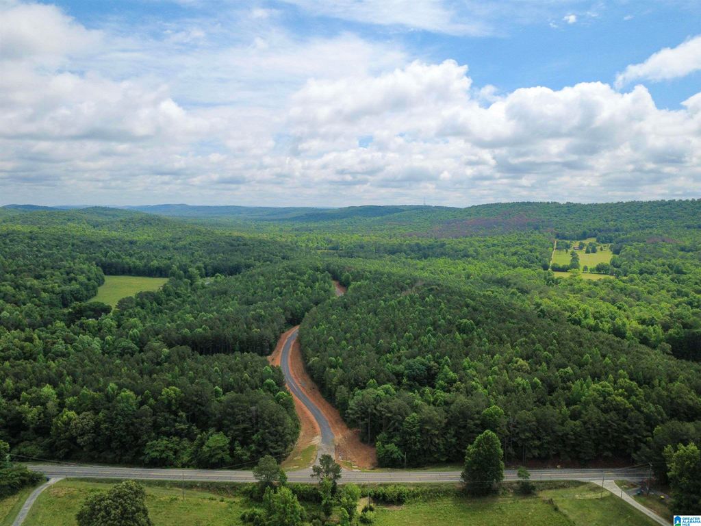 100 CRESCENT COURT, Odenville, AL 35120