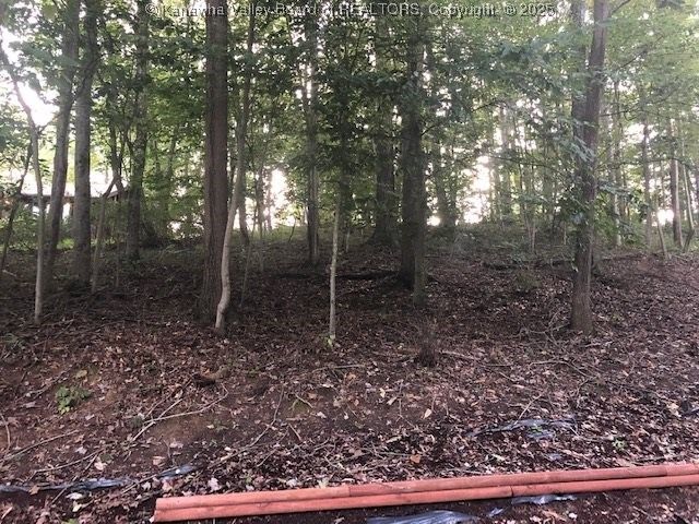 49 Timberturn Drive, Hurricane, WV 25526