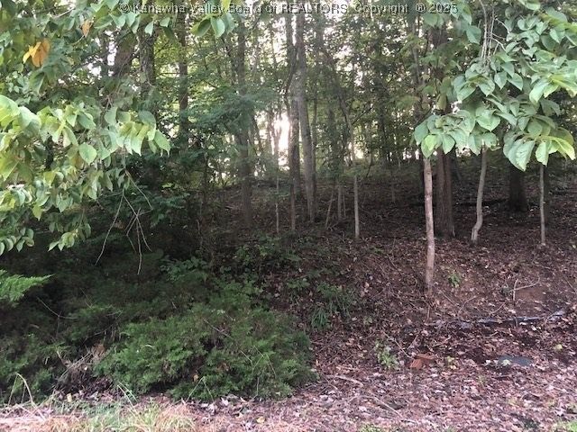 49 Timberturn Drive, Hurricane, WV 25526