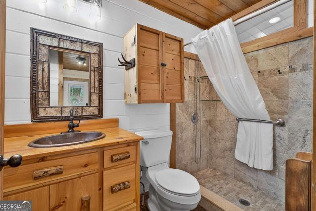 19 The Forest Road 35, Blue Ridge, GA 30513