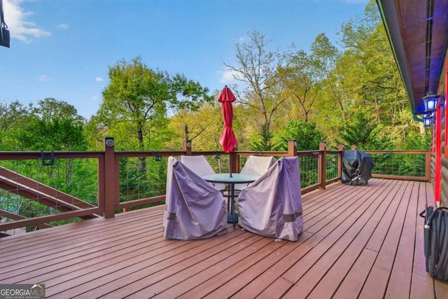 19 The Forest Road 35, Blue Ridge, GA 30513