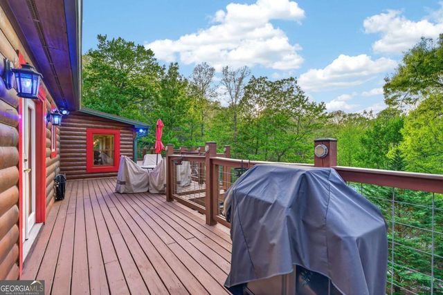 19 The Forest Road 35, Blue Ridge, GA 30513
