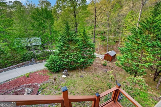 19 The Forest Road 35, Blue Ridge, GA 30513