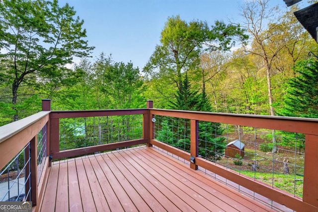 19 The Forest Road 35, Blue Ridge, GA 30513