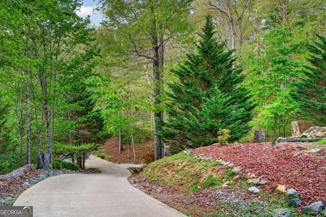 19 The Forest Road 35, Blue Ridge, GA 30513