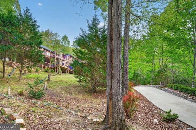 19 The Forest Road 35, Blue Ridge, GA 30513