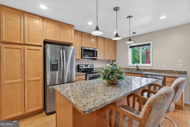 19 The Forest Road 35, Blue Ridge, GA 30513
