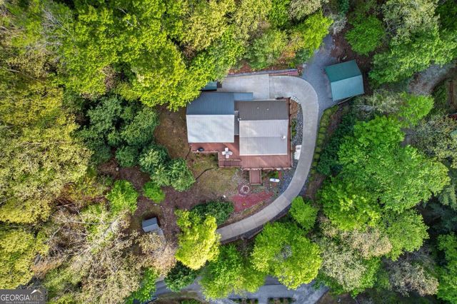 19 The Forest Road 35, Blue Ridge, GA 30513