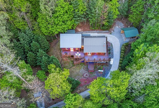 19 The Forest Road 35, Blue Ridge, GA 30513