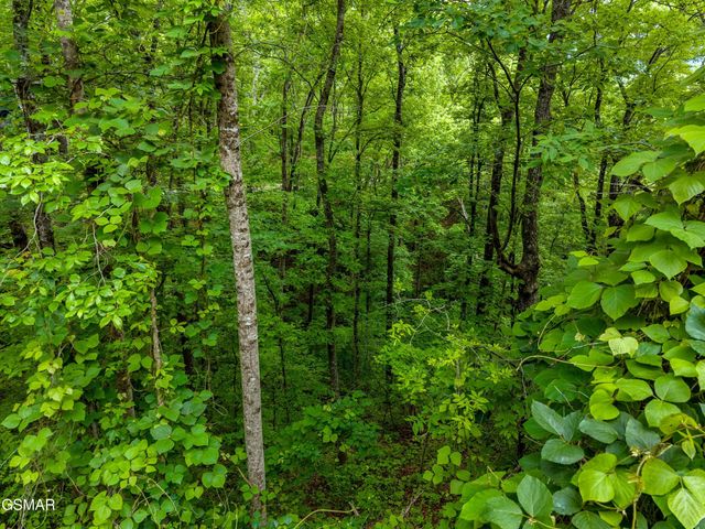 Lot 9AE Red Bone Way, Sevierville, TN 37876