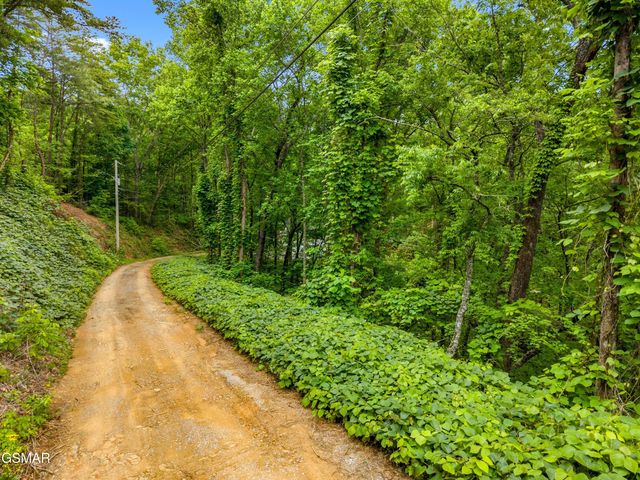 Lot 9AE Red Bone Way, Sevierville, TN 37876