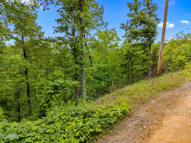 Lot 9AE Red Bone Way, Sevierville, TN 37876