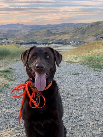 6725 S Kirsten Way 929, Eagle, ID 83629