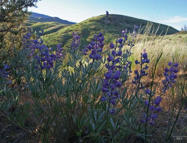 6725 S Kirsten Way 929, Eagle, ID 83629