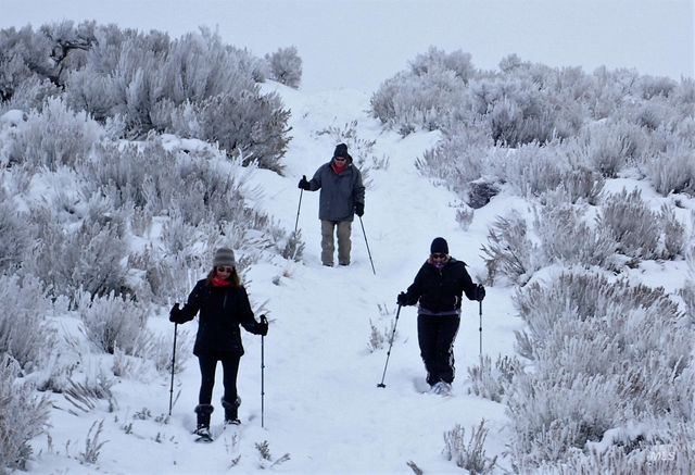 6725 S Kirsten Way 929, Eagle, ID 83629