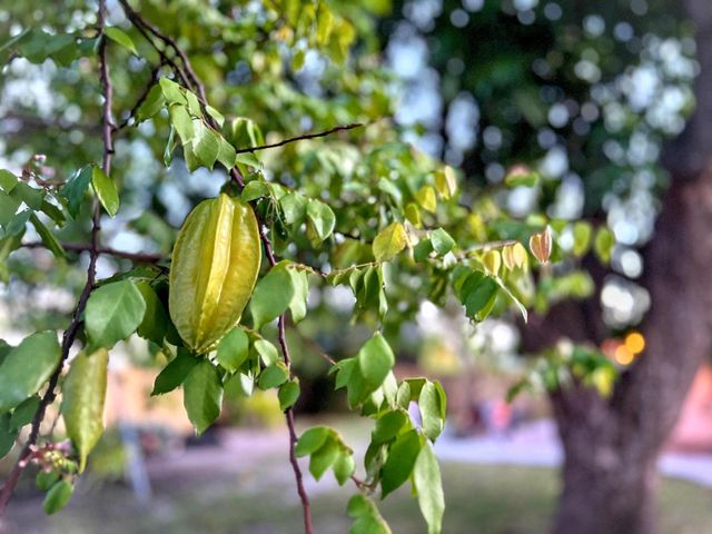 1114 N M Street, Lake Worth Beach, FL 33460