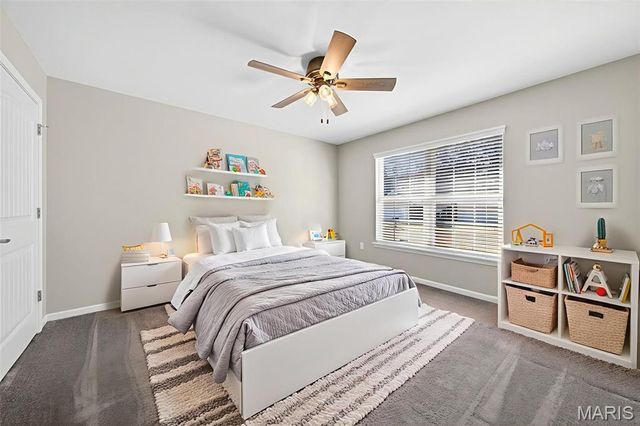 12 Jackson Circle 165, Festus, MO 63028