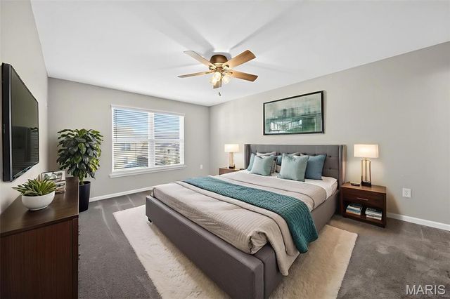 12 Jackson Circle 165, Festus, MO 63028