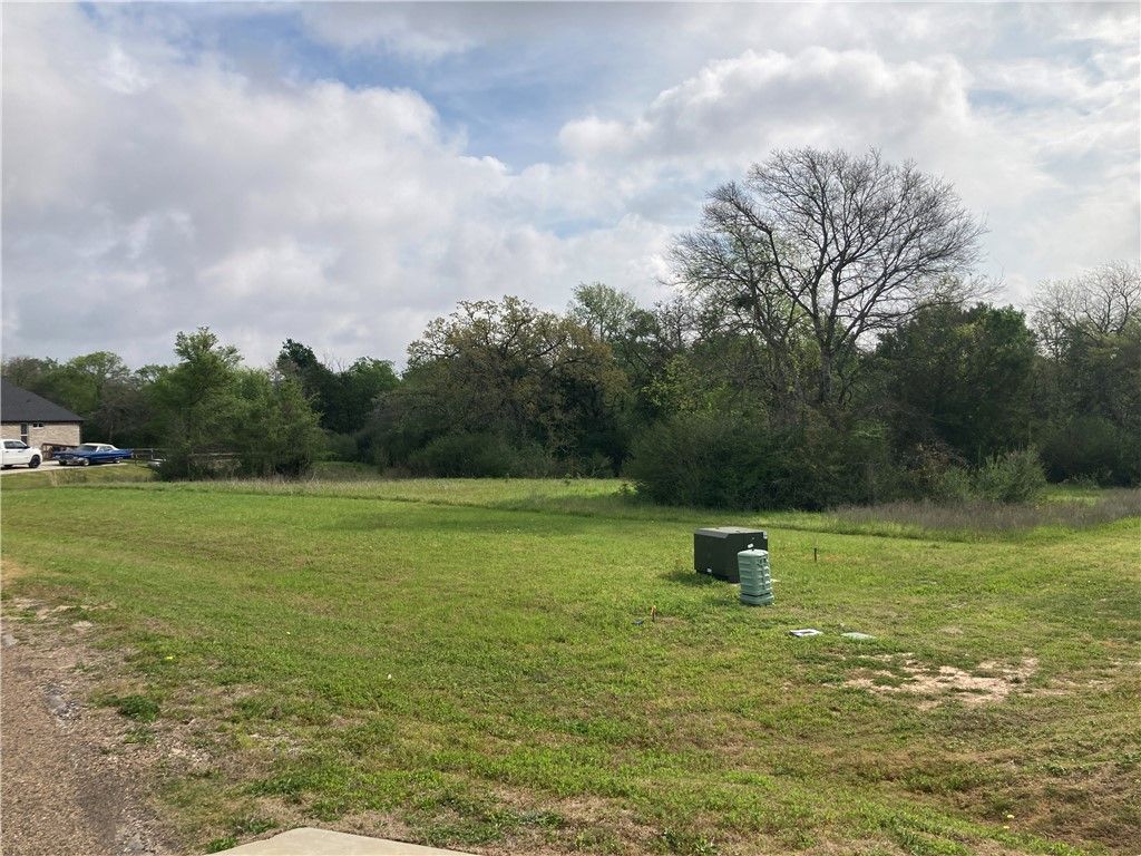 12925 Mallet Way, College Station, TX 77845 — photo 3
