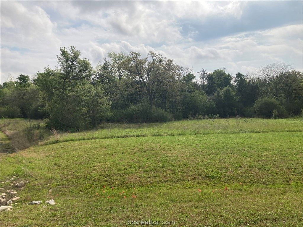 12925 Mallet Way, College Station, TX 77845 — photo 4