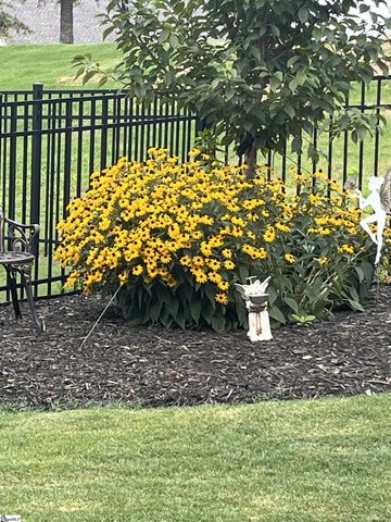 714 Torridon Lane, Simpsonville, SC 29681