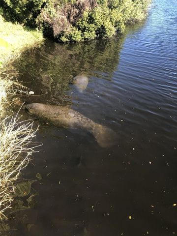 2245 Enjoya Lane, Melbourne, FL 32901