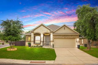 15143 gelding, San Antonio, TX 78245
