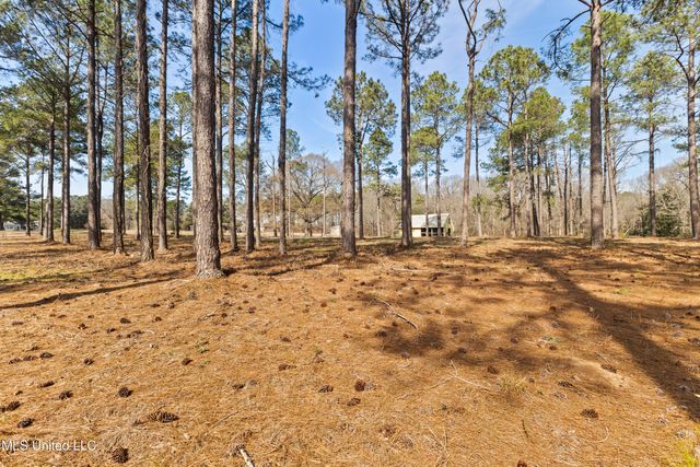 269 W Lake Road, Hattiesburg, MS 39402