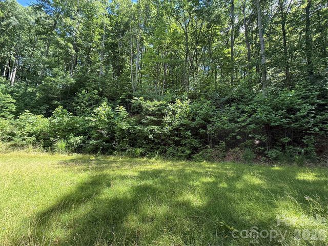 999 Hawks Nest Drive 86, Burnsville, NC 28714